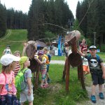 phoca_thumb_m_2. den vp  40 Fotogalerie